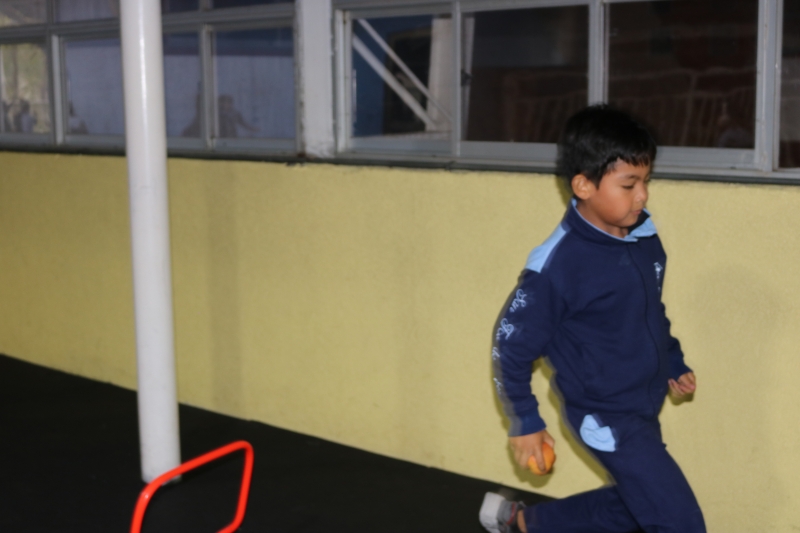 Día de la Actividad Física